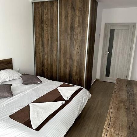Central River Apartment Cluj-Napoca Exteriör bild