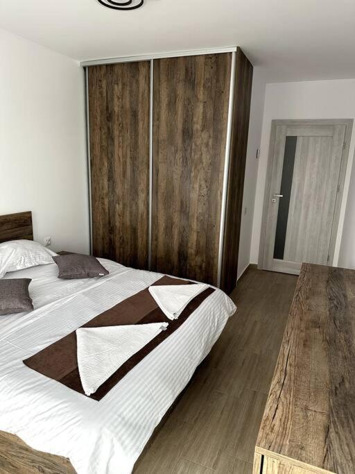 Central River Apartment Cluj-Napoca Exteriör bild