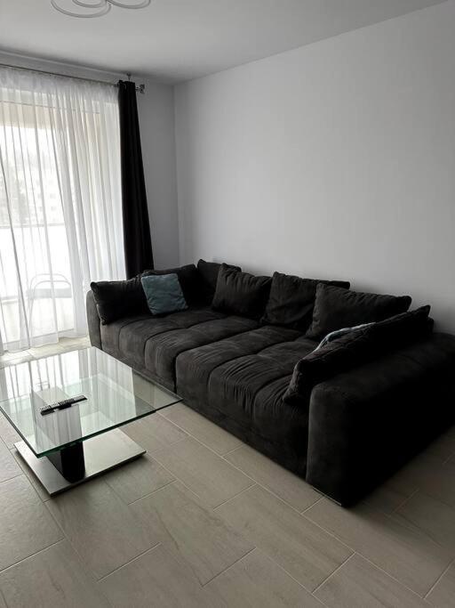 Central River Apartment Cluj-Napoca Exteriör bild