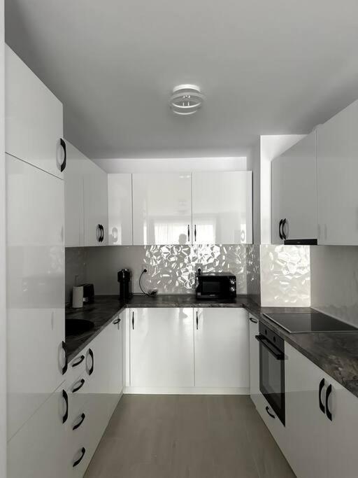 Central River Apartment Cluj-Napoca Exteriör bild